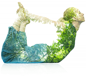 yoga pranayama and meditation